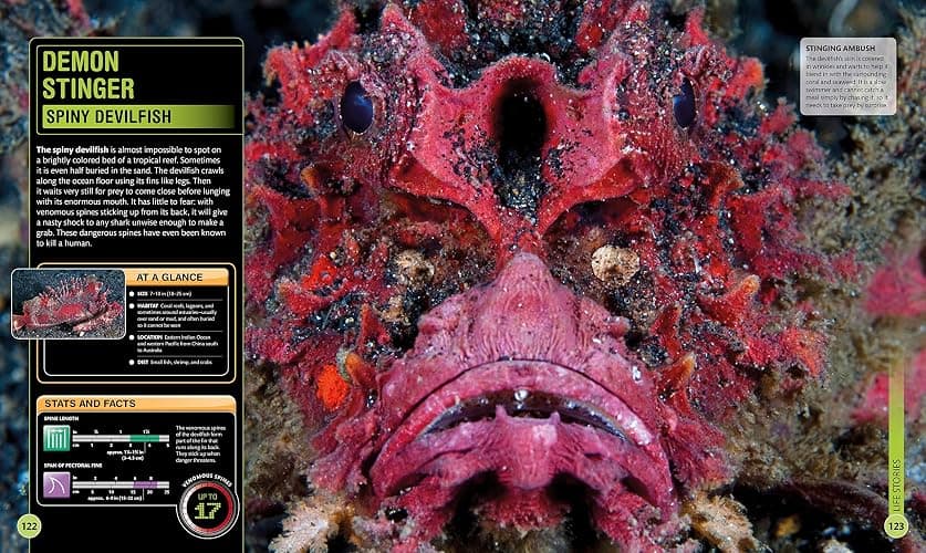 Super Shark Encyclopedia: And Other Creatures of the Deep (DK Super Nature Encyclopedias) thumbnail 3