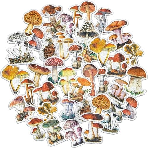 120 Pieces Mushroom Stickers Decals Mushroom Plants Theme Stickers Self Adhesive DIY Scrapbook Supplies for Laptop Water Bottles Skateboard Windows Refrigerator DIY Crafts Decoration, 2 Packs - Image 1