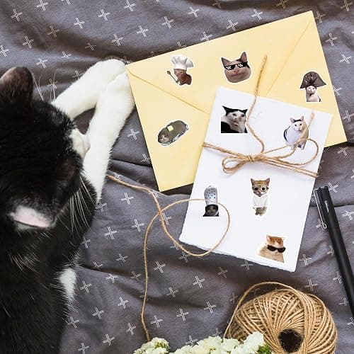 BHronony Cat Meme Stickers Roll - 2 Rolls 1000pcs Cute Cats Decal for Women Men, Pet Kitten Party Vinyl Sticker Decoration, Funny Animal Decal Label Decor Supplies for Cup Scrapbook Bottle Laptop thumbnail 2