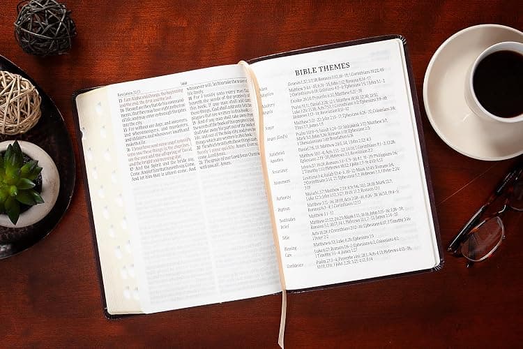 KJV Holy Bible: Blush (Light Pink), Giant Print (14 pt) – Thumb Indexed, Faux Leather, King James Version thumbnail 5