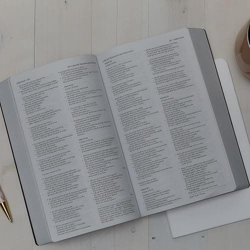 NKJV, Holy Bible, Soft Touch Edition, Leathersoft, Pink, Comfort Print: Holy Bible, New King James Version thumbnail 3