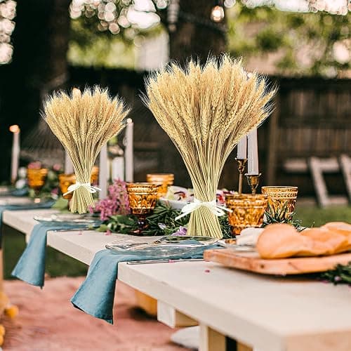 Uieke 17.7 Inches Dried Wheat Stalks, 100 Stems Dried Flowers 100% Natural Wheat for Home Kitchen Wedding Party Table Centerpiece Harvest Wreath Boho Farmhouse DIY Decoration thumbnail 2