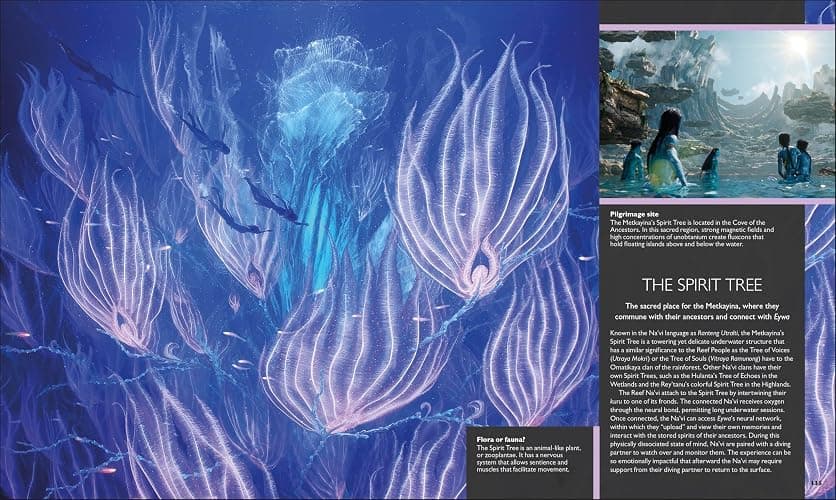 The World of Avatar Updated Edition thumbnail 2