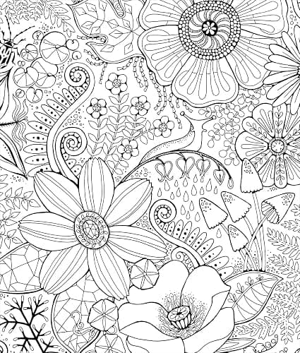 Color & Frame - In the Forest (Adult Coloring Book) thumbnail 4