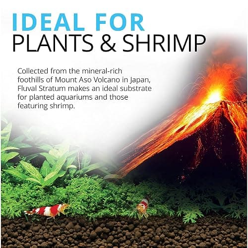 Fluval 12694 Plant and Shrimp Stratum for Freshwater Fish Tanks, 8.8 lbs. – Aquarium Substrate for Strong Plant Growth, Supports Neutral to Slightly Acidic pH thumbnail 3