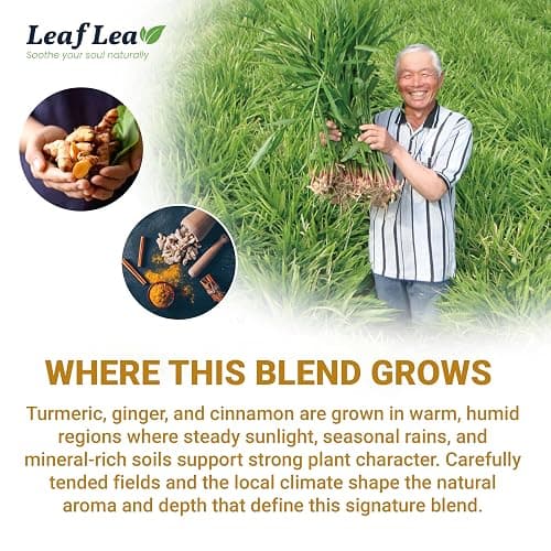 LeafLea 40 Turmeric Ginger Cinnamon Tea Bags, 100% Natural Ingredients Herbal Tea, Turmeric Ginger Herbal Blend for Wellness, Vegan, No Sugar, Caffeine-Free, Individually Wrapped for Freshness thumbnail 8