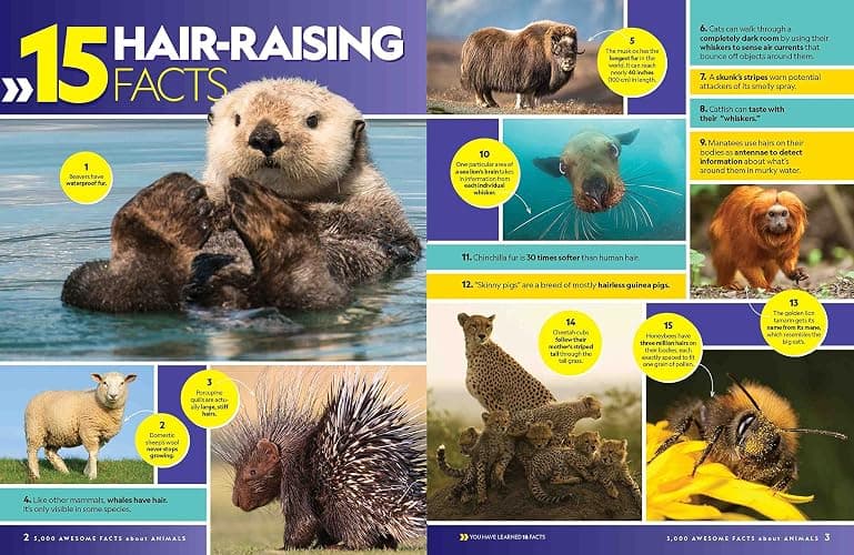 5,000 Awesome Facts About Animals thumbnail 2