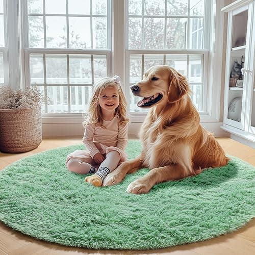ONASAR Sage Green Round Area Rug 4ft, Fluffy Soft Bedroom Circle Rugs for Kids Girls Boys Teen Dorm Room, Cute Furry Plush Shaggy Carpet for Nursery Living Room Playroom Christmas Home Decor thumbnail 5