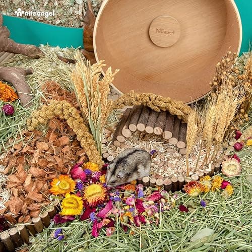 Niteangel Natural & Soft Hamster Bedding for Syrian Dwarf Hamsters Gerbils Mice Degus Bunny or Other Small-Sized Pet (Flowers Scent Path) thumbnail 8