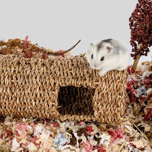 Niteangel Creative & Composable Hamster Tunnel - DIY & Build Unique Tube Burrow as Hideout for Small Sized Animals Like Hamsters Mouse Gerbils Mice (7.5-inch L - HC) thumbnail 4