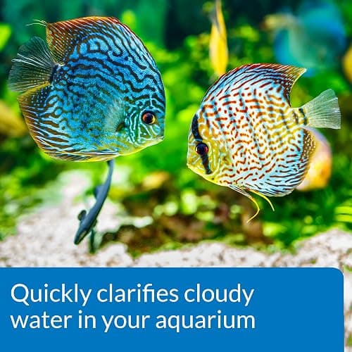 Aqua clear thumbnail 5