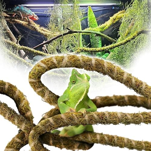 Duspro 6.5FT Reptile Vine & Moss Set for Climbing Bendable Branch, Natural Moss Rope Jungle Decor for Bearded Dragon, Chameleon Tank Accessories, Snake Gecko Lizard Terrarium - Image 1