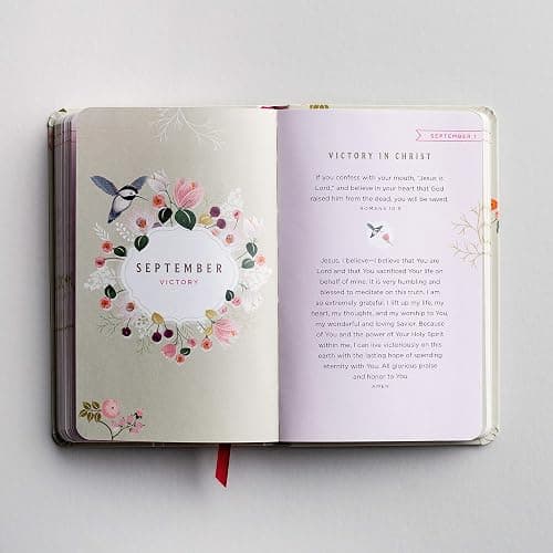 A Prayer a Day For Hope & Encouragement Devotional thumbnail 5