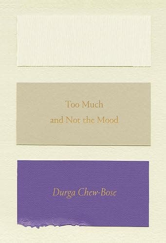 Too Much and Not the Mood: Essays - Image 1