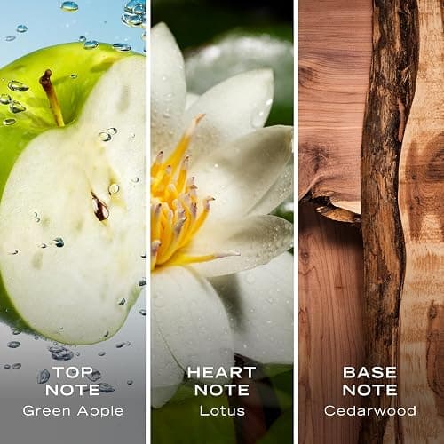 Nautica Voyage Eau De Toilette, Cologne and Fragrance For Men, Fresh, Romantic, Fruity Scent Woody, Aquatic Notes of Apple, Water Lotus, Cedarwood, and Musk Ideal Day Wear, Long Lasting 3.3Fl oz thumbnail 6