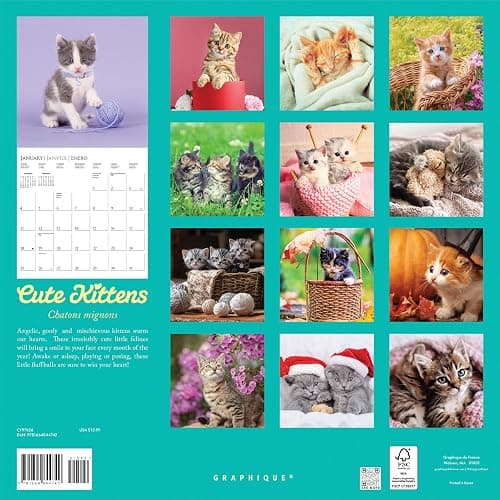 Graphique 2026 Cute Kittens Wall Calendar | 12” x 12” | Thick Paper | Home & Office Organizer | Large Monthly Grid | 3 Languages & Marked Holidays | 4 Month Preview Page for 2027 thumbnail 5