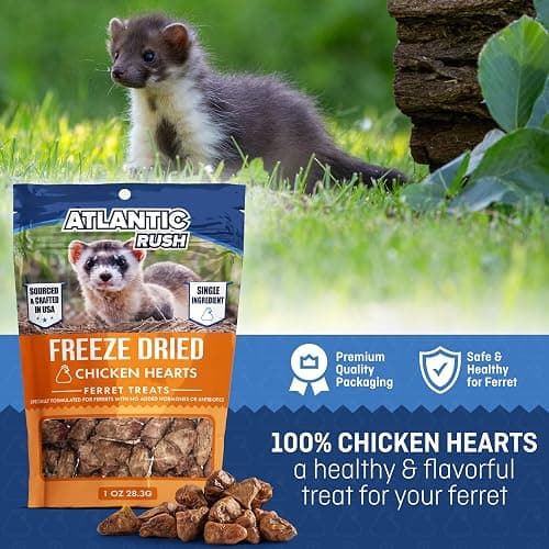 Freeze Dried Small Pet Treats - Resealable Bag of Treats for Ferrets - Ferret Snacks - Single Ingredient Ferret Food With No Preservatives Or Fillers- Small Animals Treats (1oz, chicken Heart) thumbnail 2