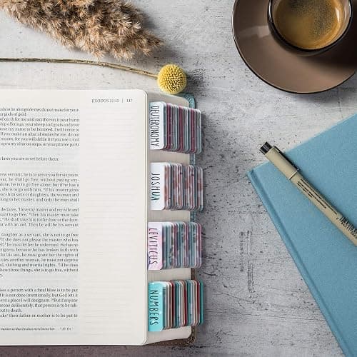 DiverseBee Laminated Bible Tabs (Large Print, Easy to Read), Personalized Bible Journaling Tabs, 66 Book Tabs and 6 Blank Tabs - Uniform Theme thumbnail 5