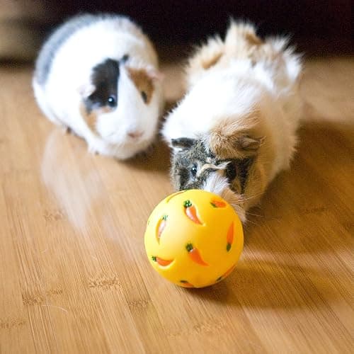 Wheeky Treat Ball Toy for Guinea Pigs, Rabbits, Hedgehogs and Other Small Pets, 7 cm, Yellow, Adjustable Opening Treat Toy New thumbnail 9