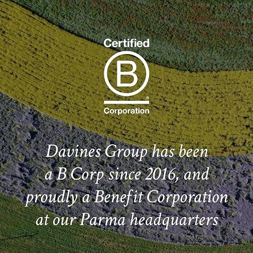 Davines OI Conditioner thumbnail 8