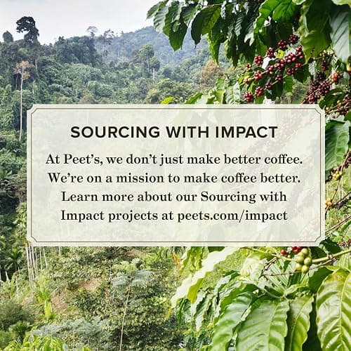 Peet's Coffee, Dark Roast Ground Coffee - Holiday Blend 10 Ounce Bag thumbnail 6