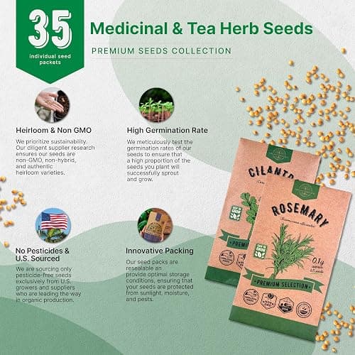 35 Medicinal & Tea Herb Seeds Variety Pack for Indoor & Outdoors. 16,335+ Non-GMO Heirloom Garden Seeds: Anise, Bergamot, Borage, Cilantro, Chamomile, Dandelion, Rosemary Seeds & More thumbnail 7