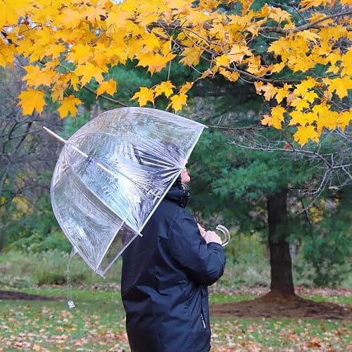 totes Adult Clear Bubble Umbrella with Dome Canopy and Lightweight Wind and Rain Protection thumbnail 7