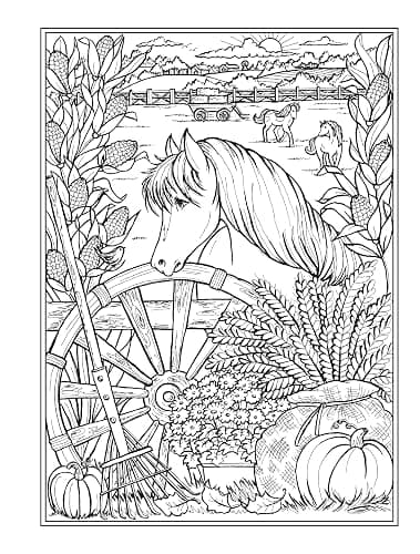 Creative Haven Autumn Harvest Coloring Book (Adult Coloring Books: Seasons) thumbnail 9