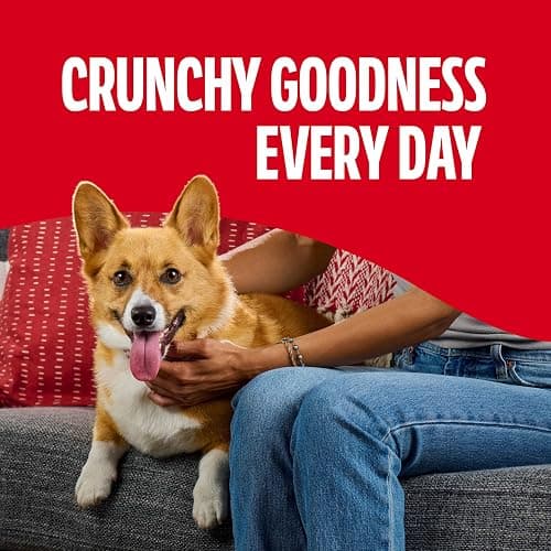 Milk-Bone Flavor Snacks Mini’s Dog Biscuits, Flavored Crunchy Dog Treats, 36 Oz. Canister thumbnail 5
