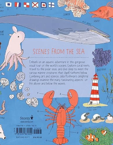 Ocean Anatomy: The Curious Parts & Pieces of the World under the Sea thumbnail 2