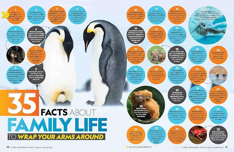 5,000 Awesome Facts About Animals thumbnail 5