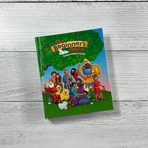 The Beginner's Bible: Timeless Children's Stories thumbnail 20