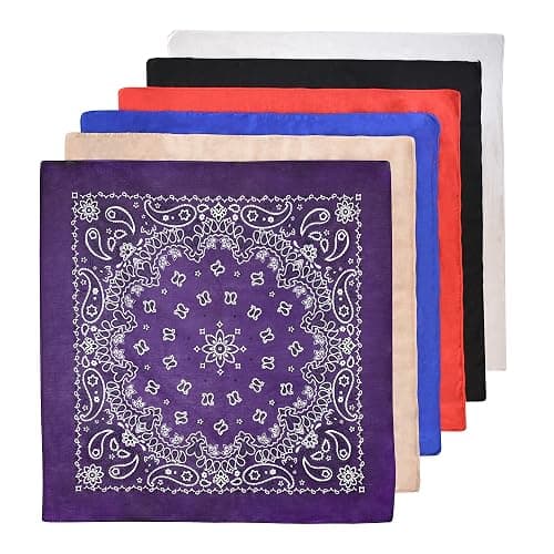 6-Pack 100% Cotton Bandanas Gift Set – 22x22 Inch Paisley Head Wraps form Men & Women, Neck & Face Scarves thumbnail 6