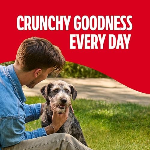 Milk-Bone GravyBones Dog Biscuits, Gravy Coated Small Dog Treats, 7 Lb. Box thumbnail 6