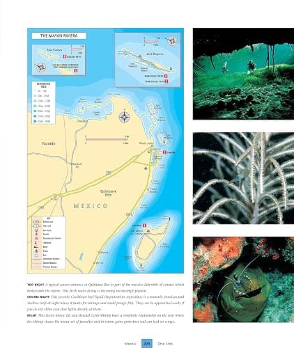 Dive Atlas of the World: An Illustrated Reference to the Best Sites (IMM Lifestyle Books) A Global Tour of Wrecks, Walls, Caves, and Blue Holes from Lawson Reef to the Red Sea to the Great Barrier thumbnail 6