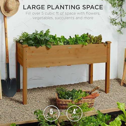plant box ! thumbnail 3