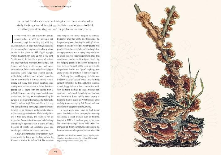 Kew - The Magic of Mushrooms: Fungi in folklore, superstition and traditional medicine (Royal Botanic Gardens, Kew) thumbnail 18