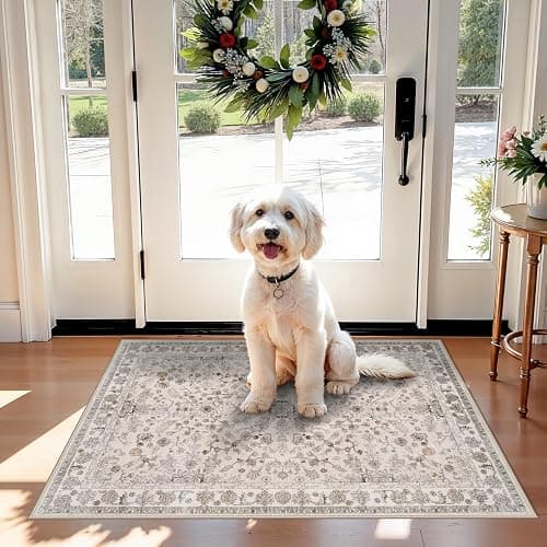 2x3 Non-Slip Washable Kitchen Rug – Boho Small Accent Rug for Sink & Entryway, Soft Low Pile Thin Carpet for Pet Area & Bathroom, Indoor Door Mat (Beige,2x3) - Image 1