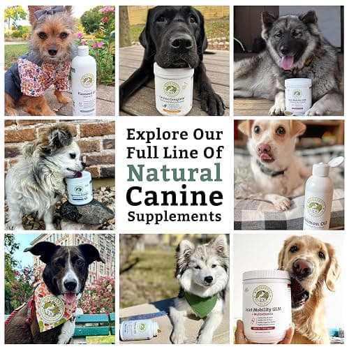 Organic Dog Vitamins | 1 Lb | 45 Scoops | Daily Dog Multivitamin with Prebiotics, Probiotics for Immune Support, Skin Coat, Digestion, & Joint Health | Canine Complete thumbnail 9