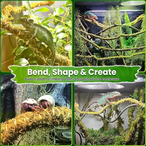 Duspro 6.5FT Reptile Vine & Moss Set for Climbing Bendable Branch, Natural Moss Rope Jungle Decor for Bearded Dragon, Chameleon Tank Accessories, Snake Gecko Lizard Terrarium thumbnail 2