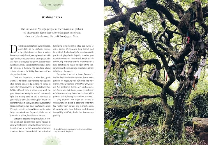 Witch's Forest: Trees in magic, folklore and traditional remedies (Royal Botanic Gardens, Kew) thumbnail 6