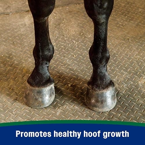 Farnam Horseshoer's Secret Pelleted Hoof Supplement for horses promotes healthy hoof growth, 11lb., 30 day supply thumbnail 4