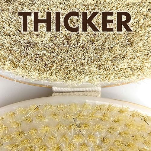 Dry Brushing Body Brush SCALA Natural Bristle Body Brush, Soft Body Exfoliating Brush Scrub for Dead Skin, Cellulite, Lymphatic Drainage, Blood Flow – Thicker & Stronger Medium Strength thumbnail 3