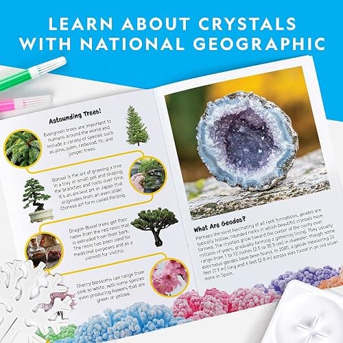 National Geographic Craft Kits for Kids - Crystal Growing Kit, Grow 6 Crystal Trees in Just 6 Hours, Educational Craft Kit with Art Supplies, Geode Specimen, STEM Arts & Crafts Kit (Amazon Exclusive) - 6-Tree Crystal Kit thumbnail 6