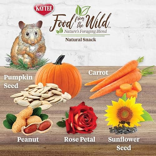 Kaytee Food, Small Pet Snack | Natural | For Rodents | 2 Ounces | Pack of 2 thumbnail 2