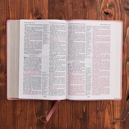 Pink Bible thumbnail 6