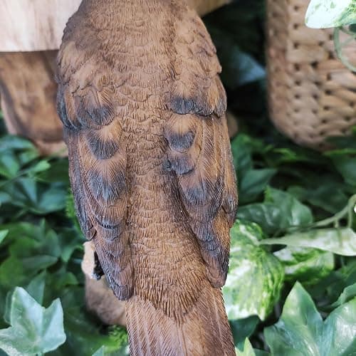 Vivid Arts Oiseaux du jardin (Grive chantante) thumbnail 7