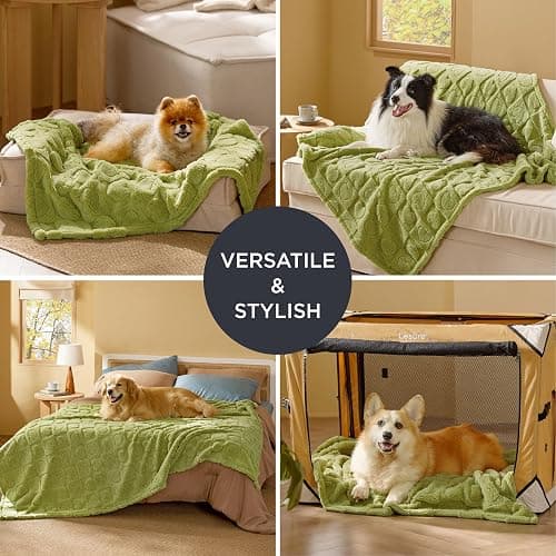 Bedsure Dog Blanket for Small Dogs Washable - Fluffy Fuzzy Puppy Cat Blanket with Premium 300GSM Coral Fleece Soft for Pet Kitten Doggy, Green, 25x35IN thumbnail 5