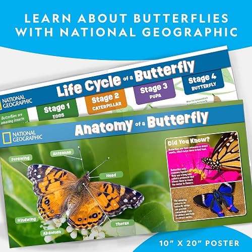 National Geographic Butterfly Growing Kit - Butterfly Habitat Kit with Voucher to Redeem 5 Caterpillars (S&H Not Included), Butterfly Cage, Feeder, Easter Basket Gifts for Kids thumbnail 5