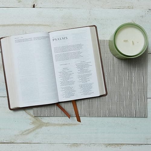 NRSV Catholic Edition Gift Bible, White Leathersoft (Comfort Print, Holy Bible, Complete Catholic Bible, NRSV CE): Holy Bible thumbnail 10